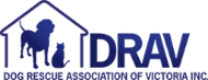 DRAV logo