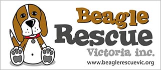 Beagle Rescue Victoria Inc
